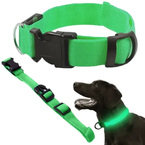LED-Leuchthalsband für Hunde & Katzen – grün, verstellbar 46–59 cm