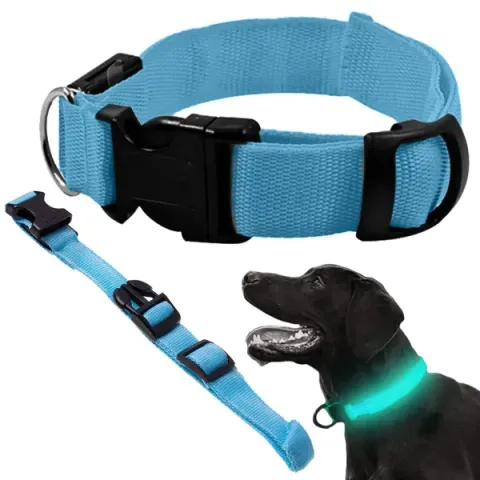 LED-Halsband für Hunde & Katzen – leuchtend, verstellbar & sicher